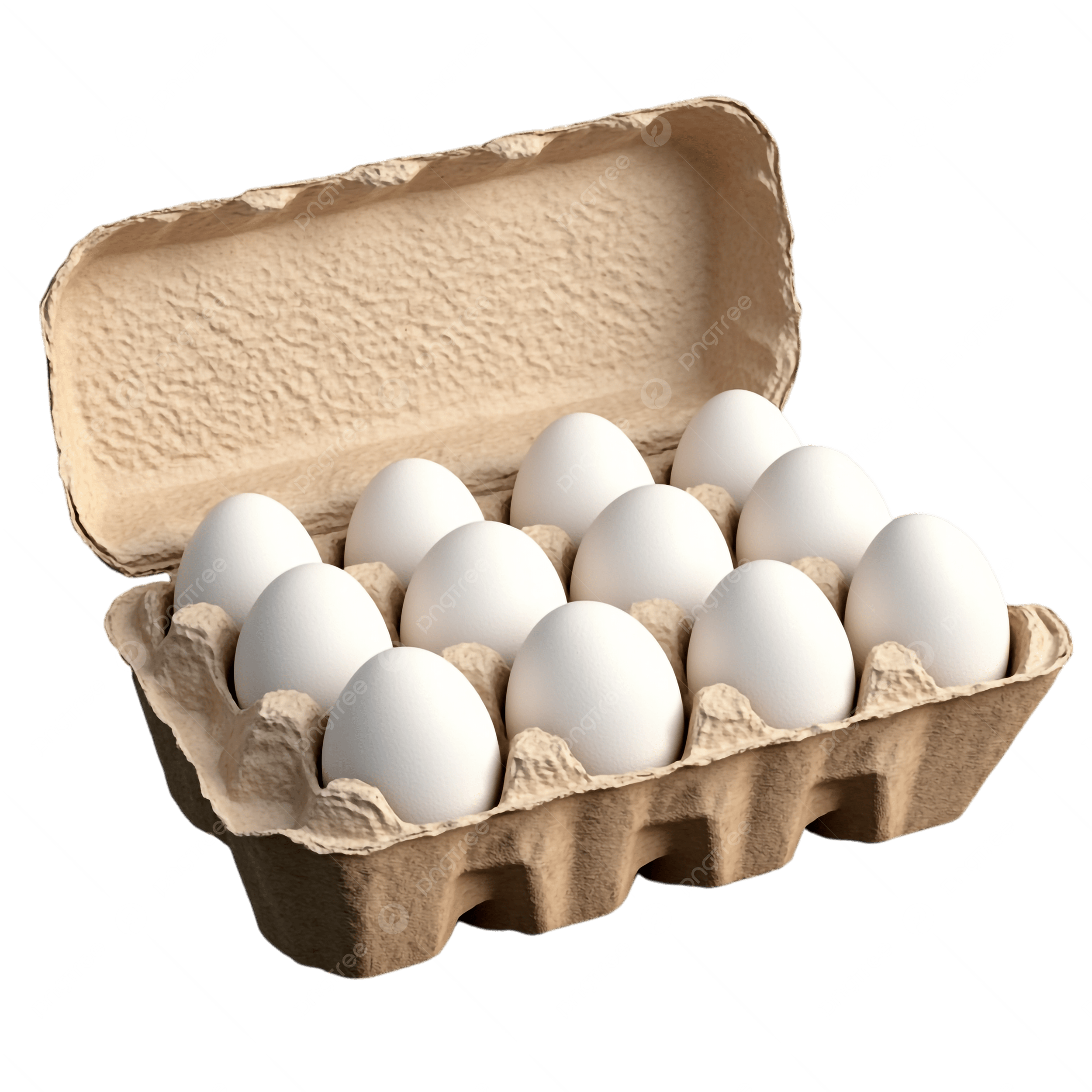 Fresh Eggs